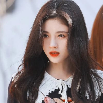 消失的大象